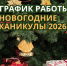 График работы Плёсского музея-заповедника в новогодние каникулы 2026 - Музей-заповедник